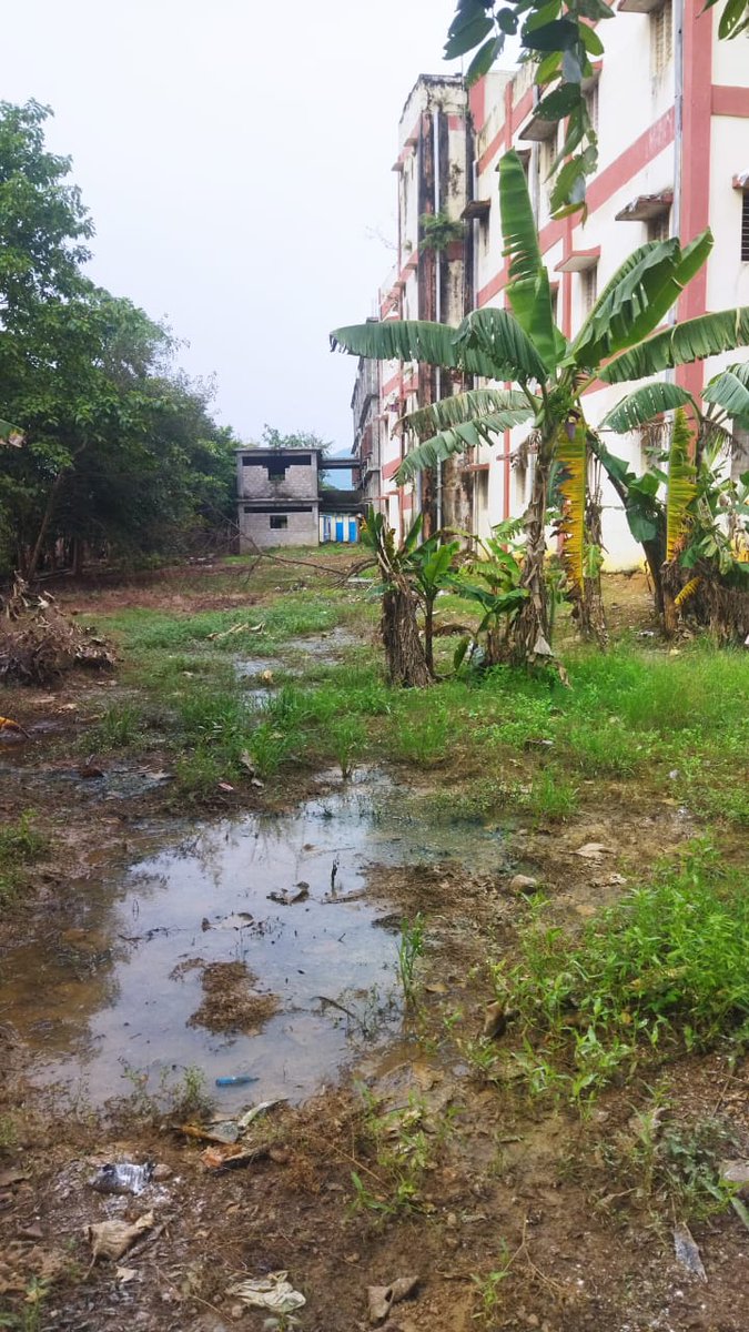 Gopi_YSRCP_'s tweet image. AP Government Schools Situation

#KurupamHealthCrisis
#InHumanAPGov