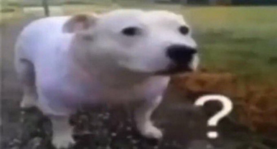 바바 (@dxnx12_) on Twitter photo 