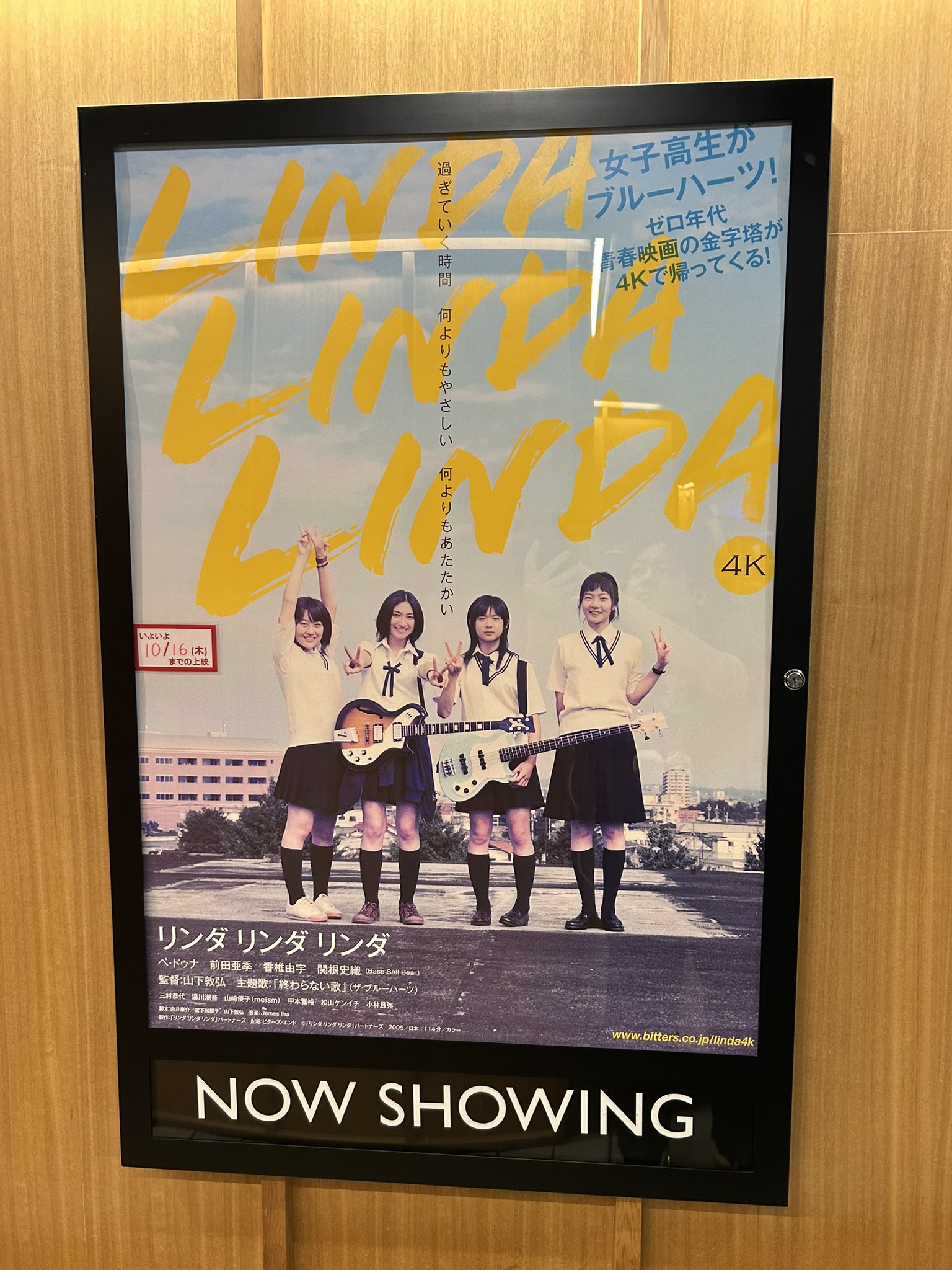 ヨンダイメ那須（流星群ティア） on X: 