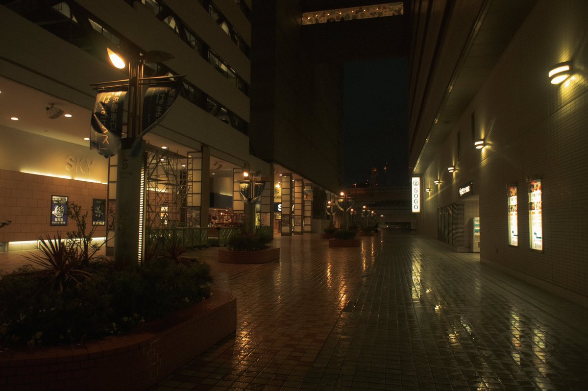 n55_pafu's tweet image. 