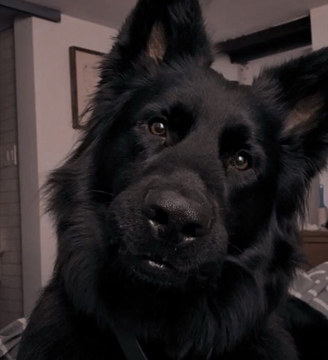 _LittlePluto's tweet image. Yeah, they r gay😘💅🏻

คู่นี้เขียนตอนไหนไม่รู้ แต่รู้ว่ามีแท็ก มีชื่อ เคยส่งเบต้าแล้วเมื่อปีก่อน(มั้ง) และไม่ลงตัวแน่นอน ภาพมักมาก่อนเนื้อหาเสมอ🫣

กราซิบ ในนี้มีนางเงือก (มั้ง6555555555555)

CMS -&amp;gt; @.Memeanimeow