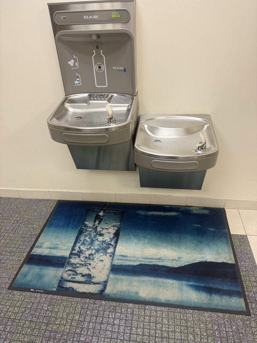 azie bug tweet media