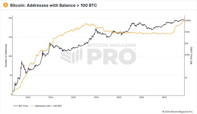 Line chart titled Bitcoin Addresses with Balance greater than 100 BTC displays two lines one orange and one black representing the percentage and number of such addresses over time from 2013 to 2024 with data points rising to a peak in 2024 Bitcoin Magazine Pro watermark visible at bottom.
