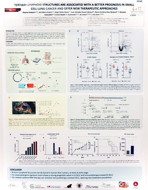 AcUcero's tweet image. People at #ASEICACongress ‼️
Visit our poster #149 and find out our last findings in SCLC immune microenvironment. Tomorrow morning session 🤙🏼🤙🏼
#ASEICACongress
@PazAresLab
@SOSCLC_AECC
@CmIlung