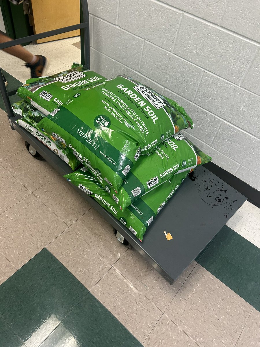 Rasheeda Dye tweet media