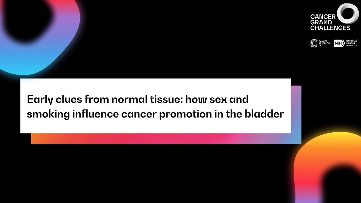 New research from #CancerGrandChallenges team PROMINENT funded by <a href="/ContraCancerEs/">Asociación Española Contra el Cáncer</a>, published in <a href="/Nature/">nature</a>, uncover clues as to why men face a higher risk of bladder cancer and reveals that tobacco smoke acts as a promoter, not an initiator, in bladder cancer development.

By