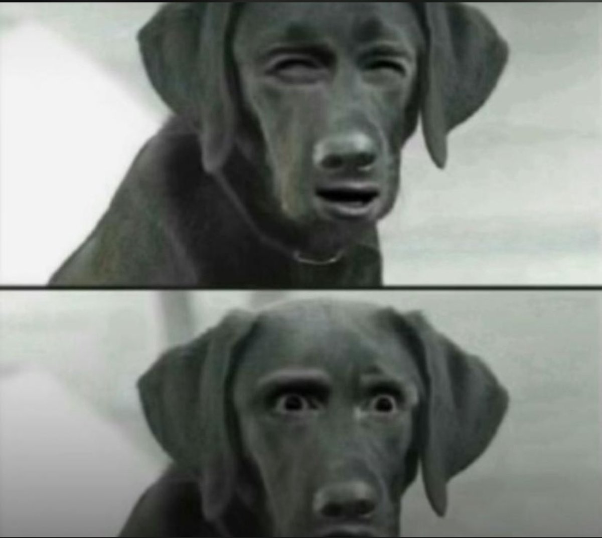 Quinigel's tweet image. Your bf after you serve him a good mouth-watering dish: “The man that would marry you would be very lucky.”

You: