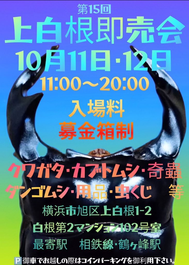 daichi_0816_KB's tweet image. もうちょいで幼虫はなんとか予定数量に💦
　
次は成虫を掘り出していかないと💦