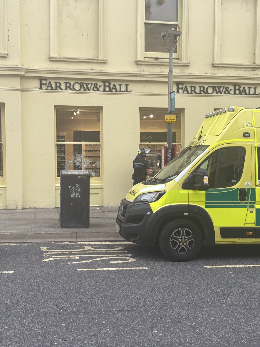 Lottie Ikonen tweet media