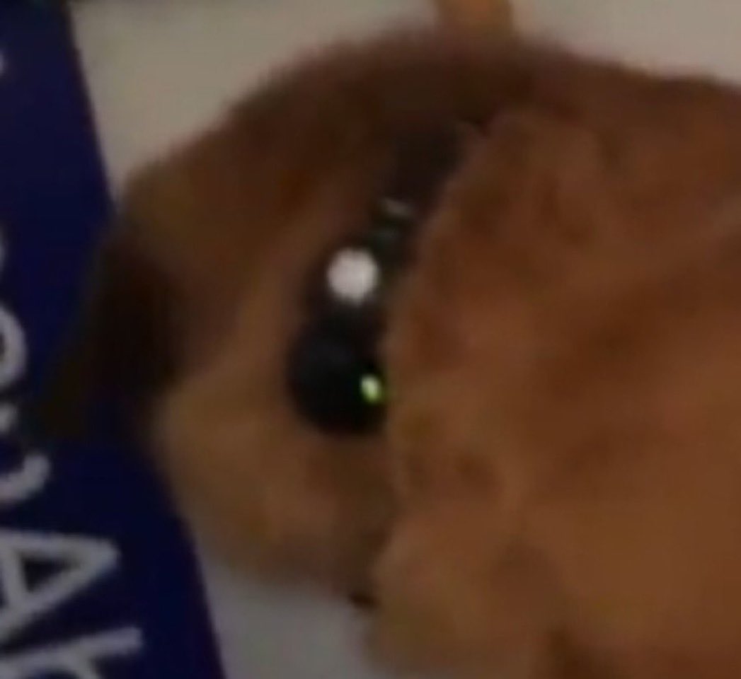 Law🇺🇸 tweet media