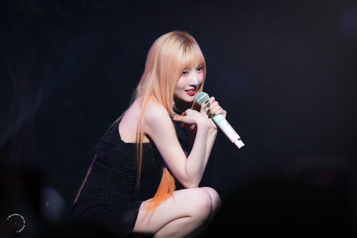 WONDERS NEVER CEASE tweet media