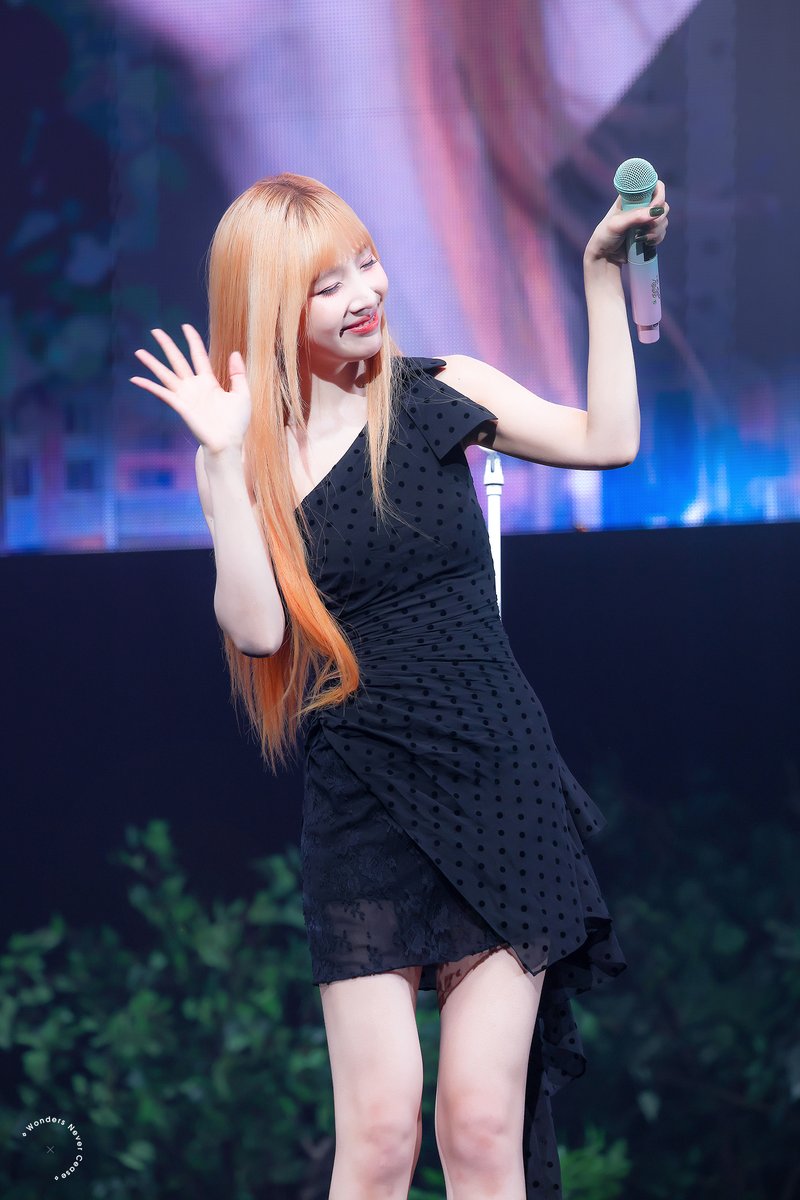 WONDERS NEVER CEASE tweet media