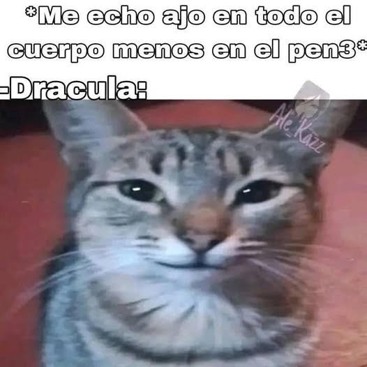 Una hormiga que mira tu post 🐜 tweet media