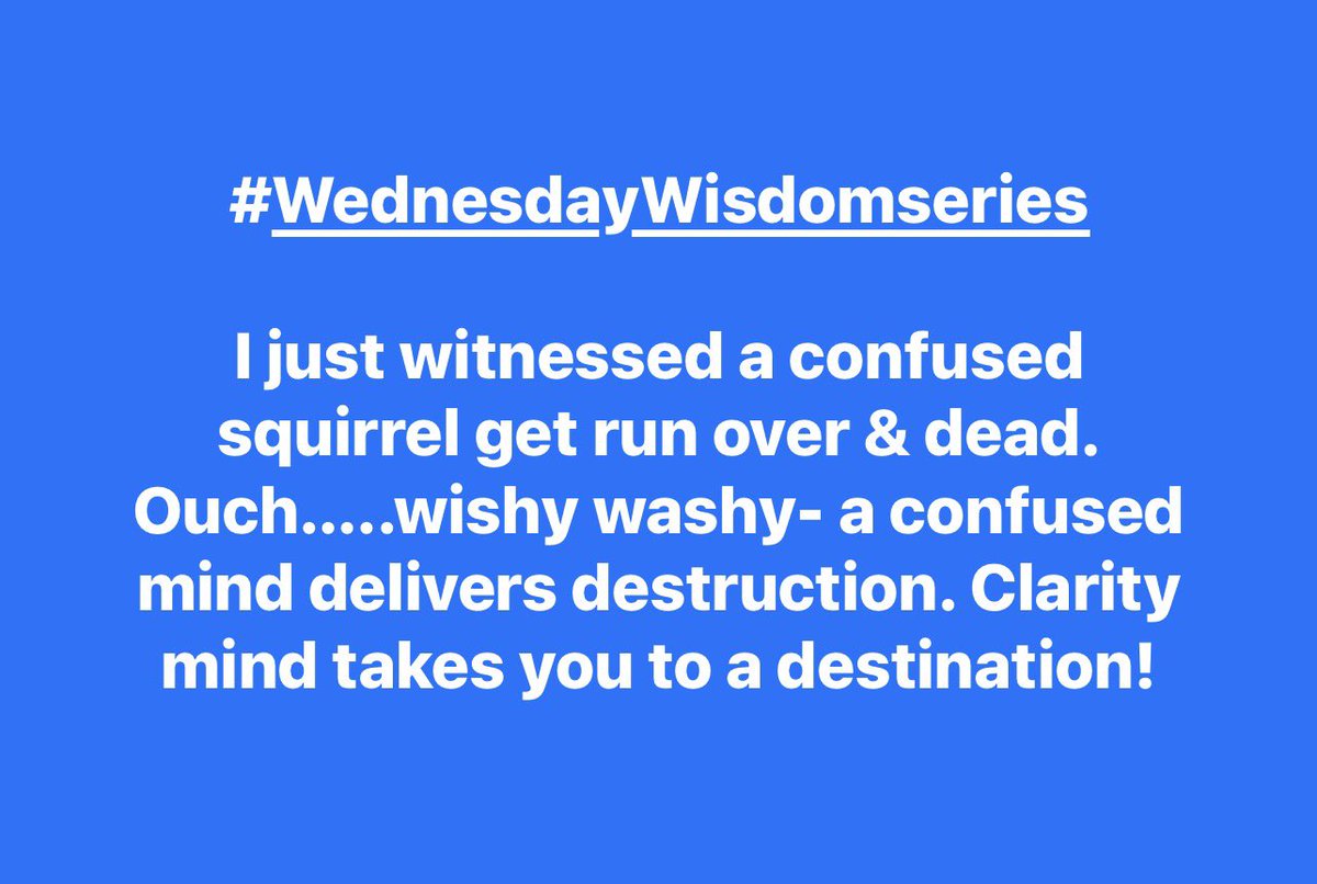 whatsupsuccess's tweet photo. #WednesdayWisdom  series

I just witnessed a confused squirrel get run over &amp; dead. Ouch…..wishy washy- a confused mind delivers destruction. Clarity mind takes you to a destination! https://t.co/kwxetX8kRe