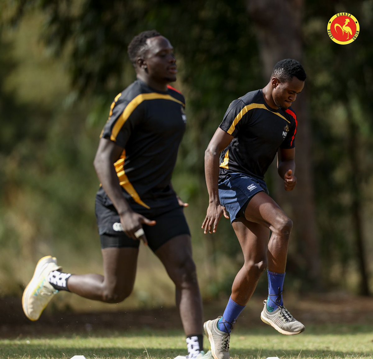 HeathensRFC's tweet image. SETTLED IN! ✅️

The @Uganda_Sevens have safely touched down in Nairobi and are all set for the #Safari7s action this weekend.

#HeathensTuko // #SupportRugbyCranes7s // #UgandaRugby