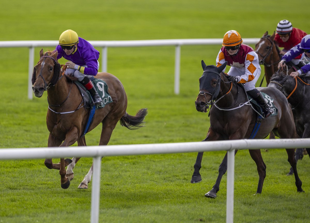 Navan Racecourse tweet media