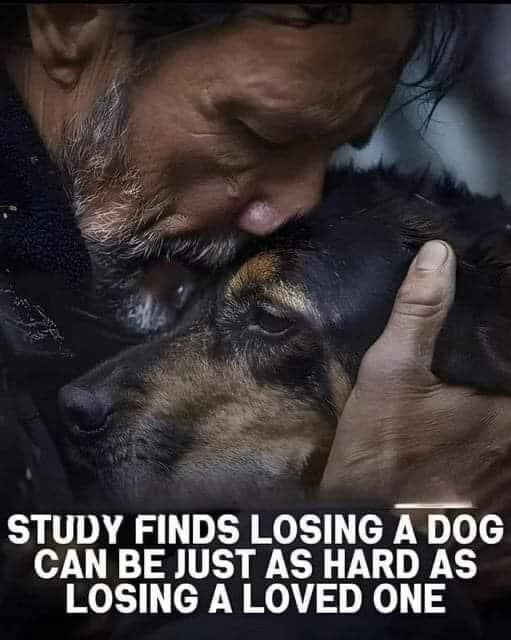DogLovers03's tweet photo. https://t.co/fSV4Ub4kKl