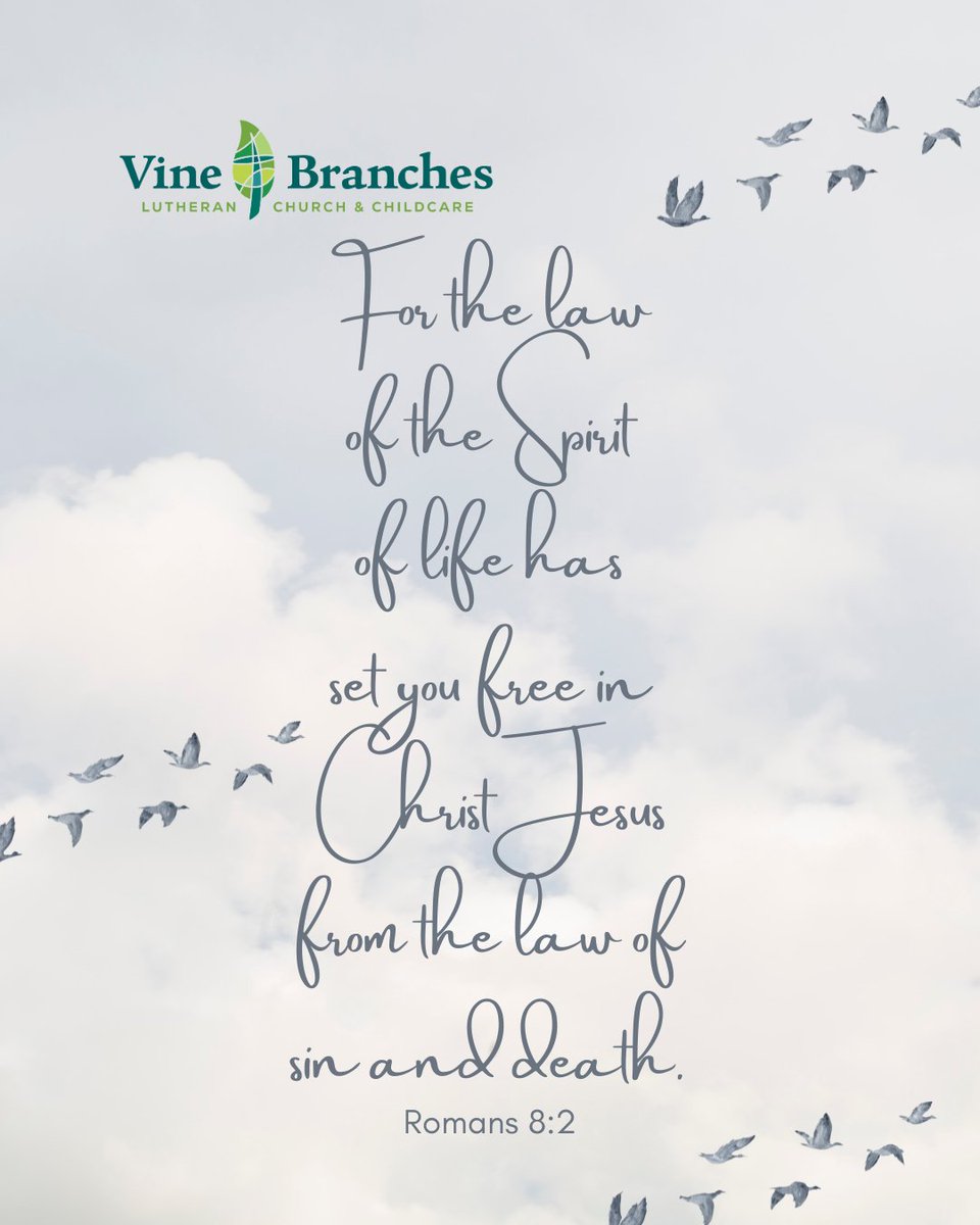 Vine_BranchesLC's tweet image. We invite you to grow in God&apos;s word with us as we memorize our verse of the week - Romans 8:2 ESV
Please join us at Vine &amp;amp; Branches for our Sunday services at 8:30AM (traditional worship) &amp;amp; 10:30AM
#vablc #LCMS #bible #bibleverse #scripture