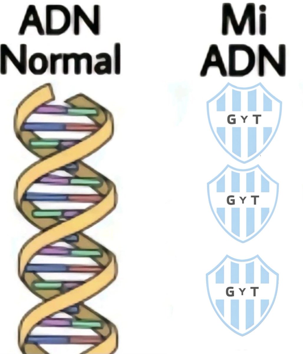 Wos de GyT (@dxxnygyt) on Twitter photo 