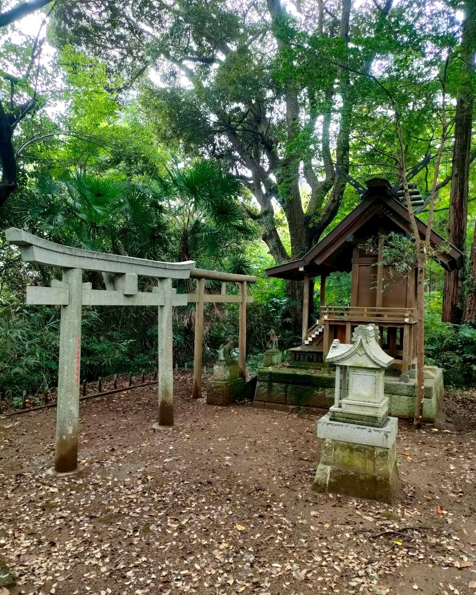 Чудо-дерево(不思議な木)

幼児用絵本　洋書 Kawanabe Kyōsai 河鍋暁斎 - Never Seen Before: True Picture