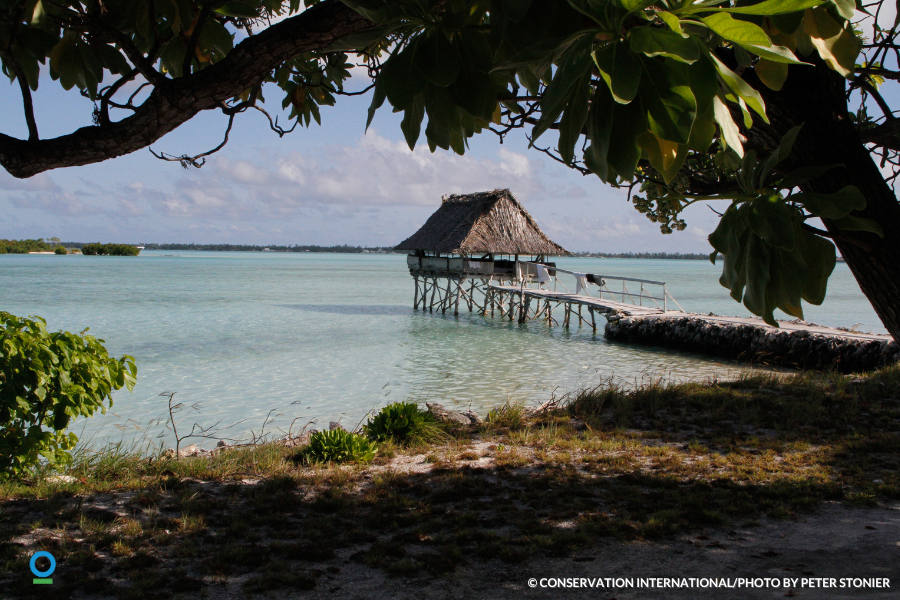 New guidebook out now: practical tools for assessing and improving social equity in marine conservation. Because conservation works best when it’s fair and inclusive. portals.iucn.org/library/node/5…