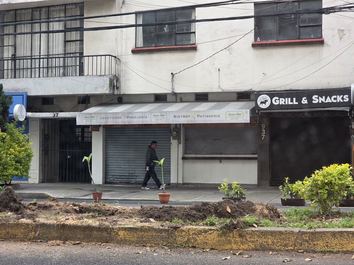 Emmanuelle Regino 🦉 tweet media