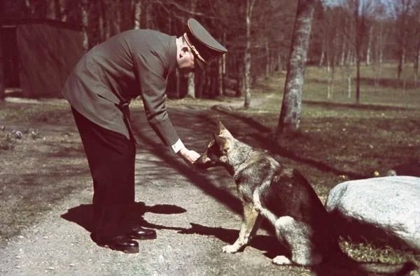 RawWarBro's tweet image. Literally Hitler:                     Hasan Piker: