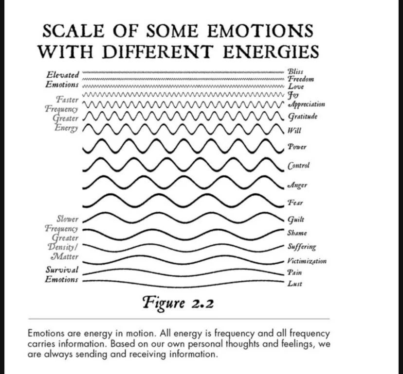 BioavailableNd's tweet image. Lust can act like an environmental toxin, sitting at the lowest energy emitted by a person. 

Your emotional state is literally an energy signal, and if you are working on optimizing your health, your energy should be prioritized. Dr. Joe Dispenza teaches us that low energy…