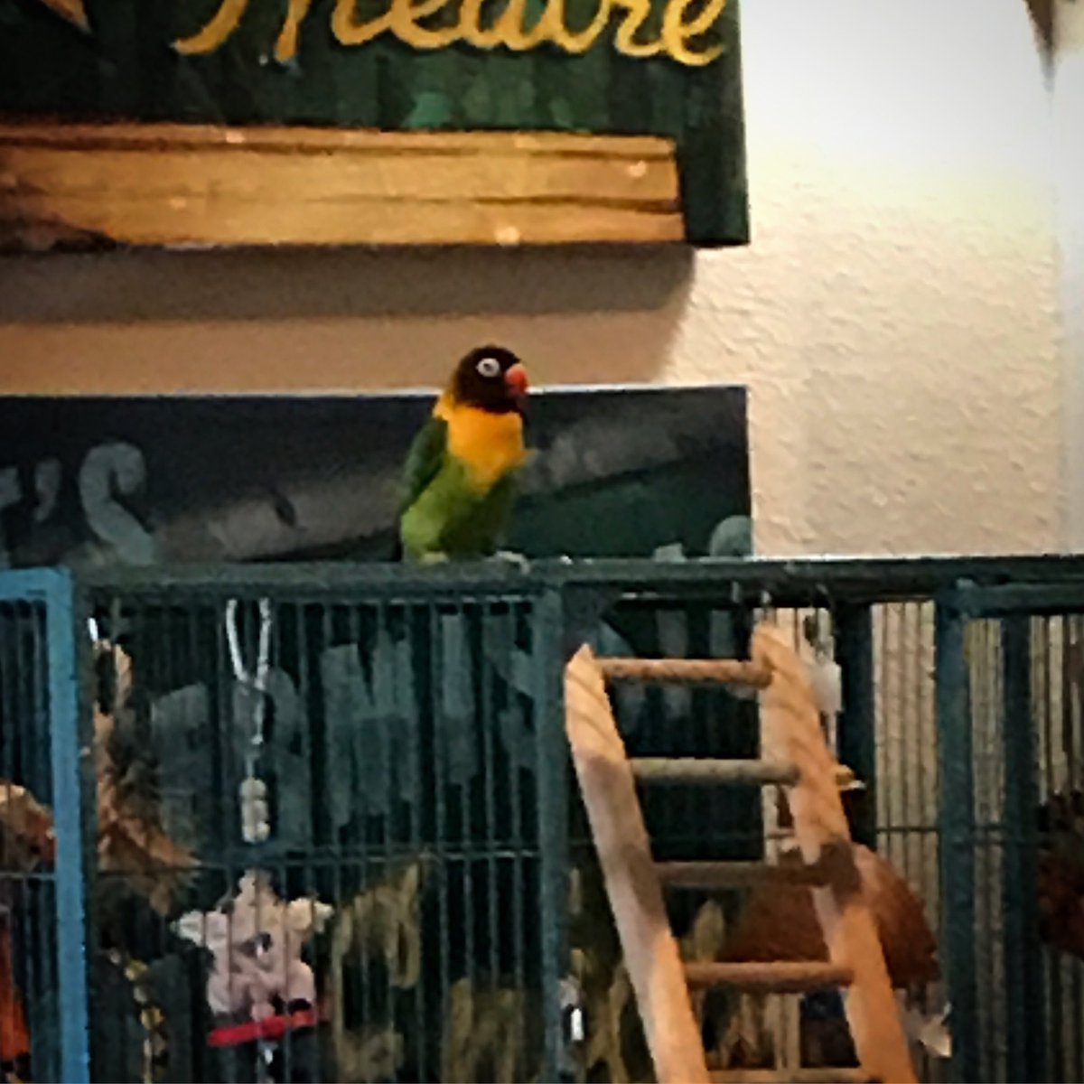 J.T. O’Malley tweet media