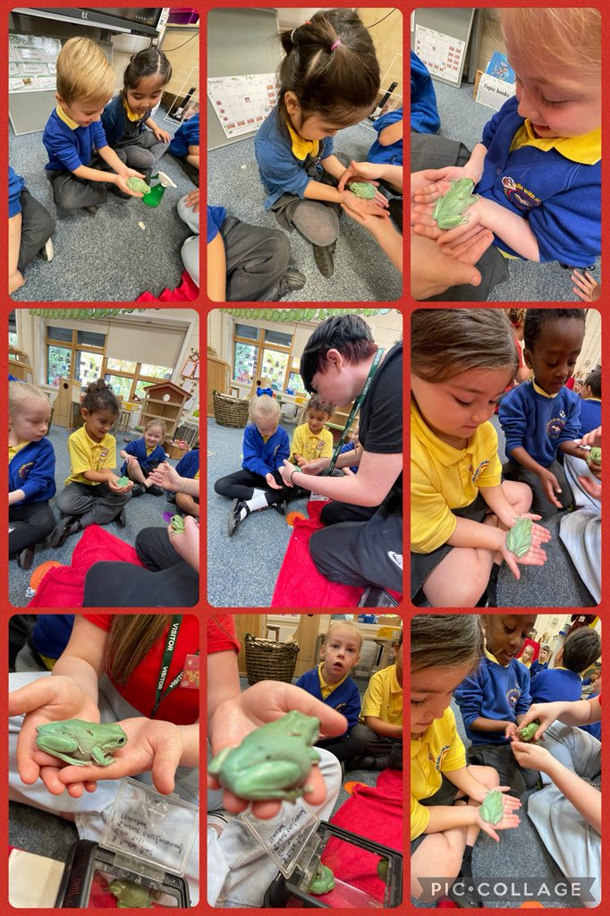 _MissSharples's tweet photo. Emma’s Crazy Creatures visited our class today! 🐾
We met a dog dressed as the Gruffalo, bunnies, a tarantula, frogs, an owl, mice, and even hedgehogs! 🦉🕷️🐸🦔
Such an unforgettable experience—thank you, Emma! 💫 #SchoolVisit #CrazyCreatures #HandsOnLearning @HollinPrimary https://t.co/V5MsFczcd0