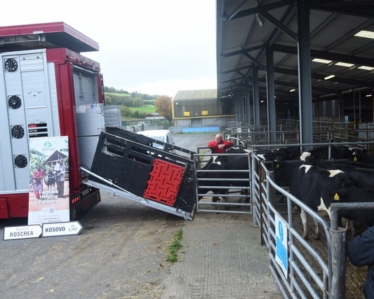 Bóthar Charity Ireland tweet media