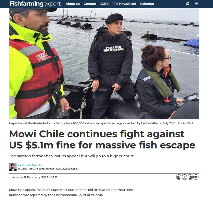 Mowi was fined 5.3 billion Chilean pesos (US $5.1 million) following the escape of 690,000 salmon 
fishfarmingexpert.com/chiles-supreme…
How much will <a href="/ScotGovMarine/">Scot Gov Marine</a> fine <a href="/MowiScotlandLtd/">Mowi Scotland Limited</a> for 75,000 escaped fish in Loch Linnhe? <a href="/WildFishCons/">WildFish</a> <a href="/AST_Salmon/">Atlantic Salmon Trust</a> <a href="/fms_scotland/">Fisheries Management Scotland</a> <a href="/scottishgreens/">Scottish Greens</a>