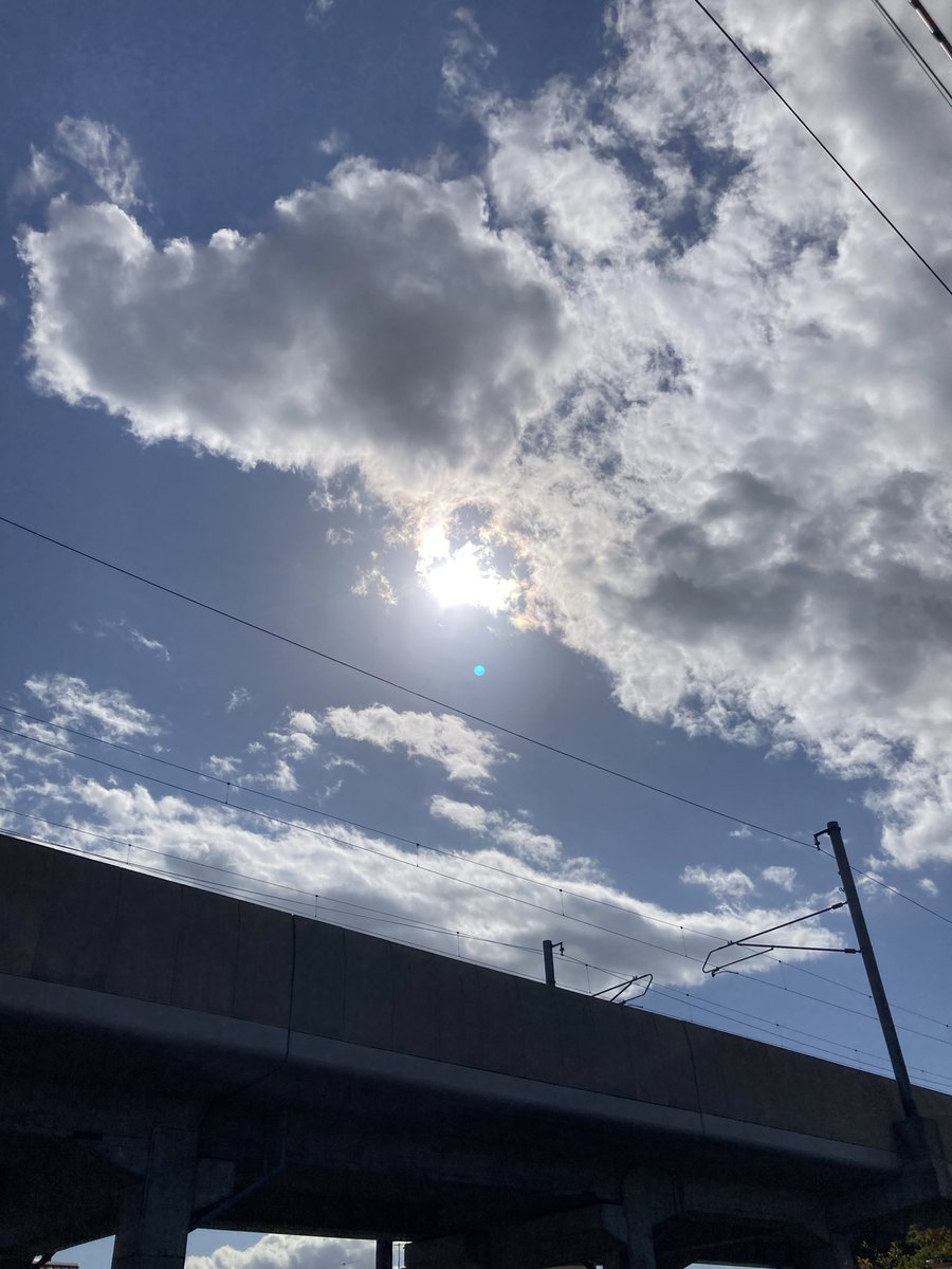 Good morning ☀️🕊️💕Afternoon 🍊
Evening 🍇 night ✨🦉