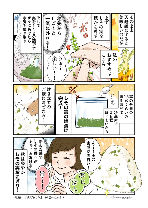 (2/2) #しその実 #しその穂 