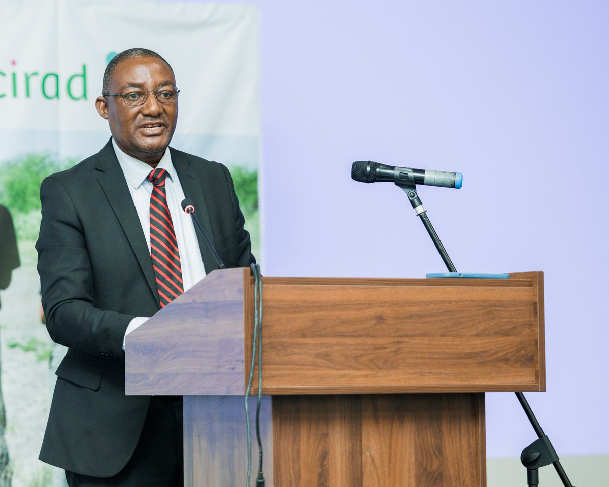 CIFOR-ICRAF tweet media