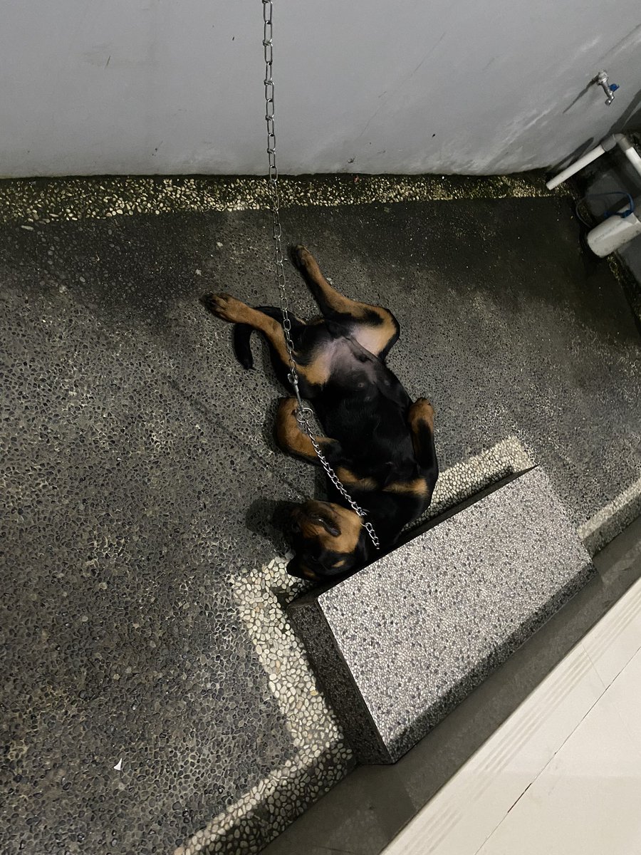 hariwangsa2's tweet image. Bodo amat