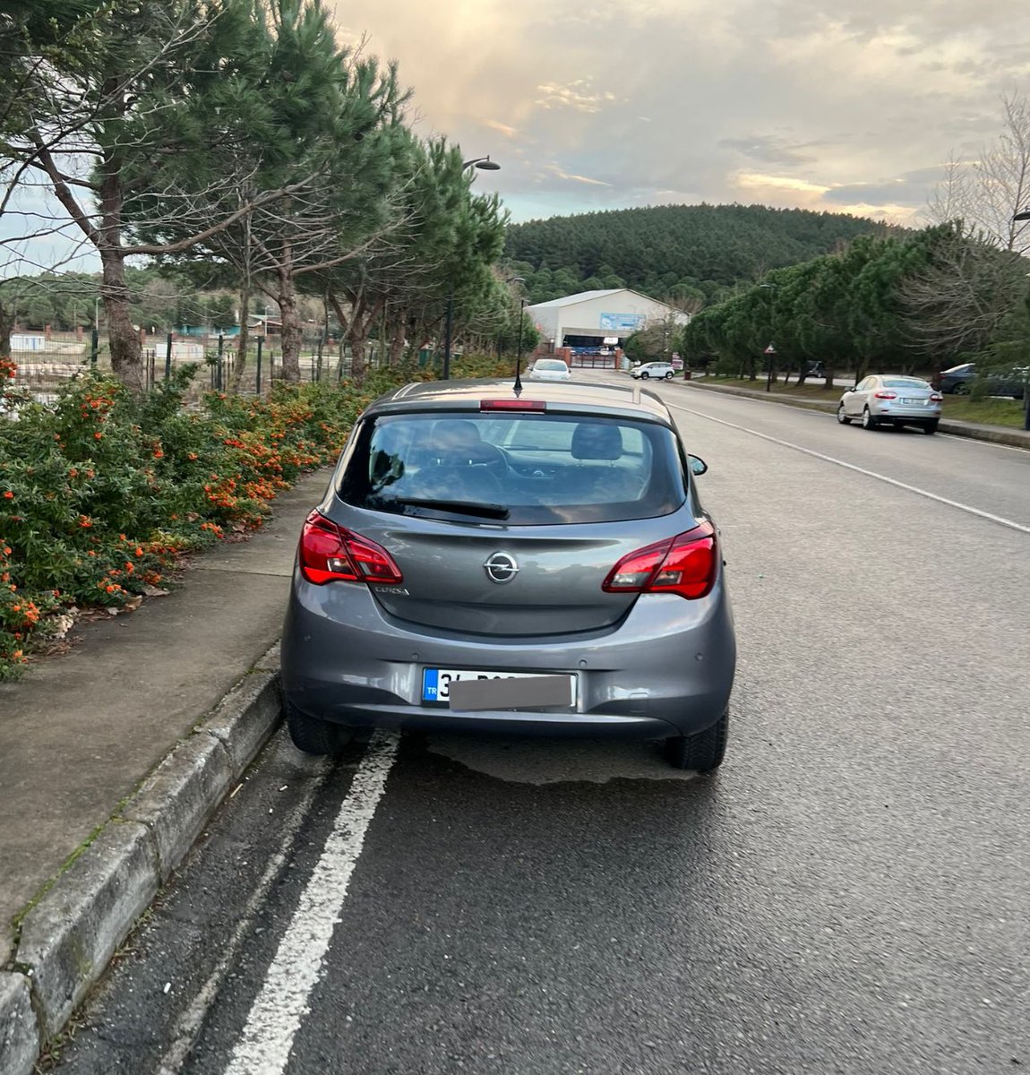 Baran Yeni tweet media