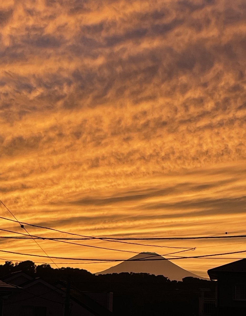 Chinami@英語再学習🇯🇵 tweet media