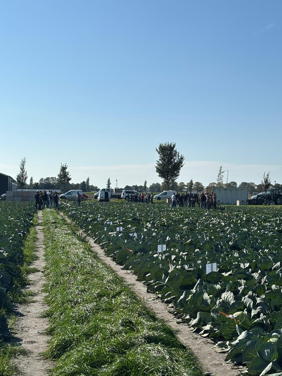 ADOPT-IPM tweet media