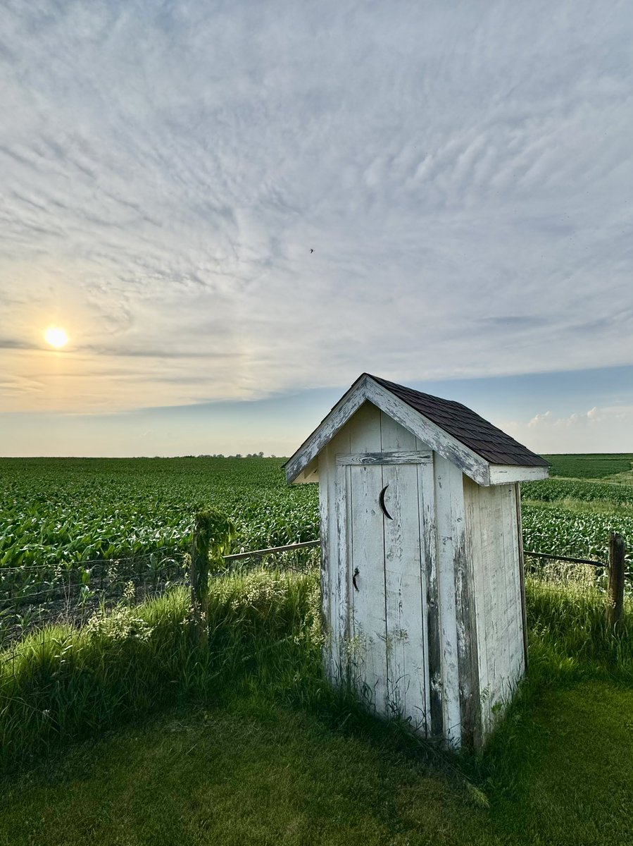 D Miller tweet media