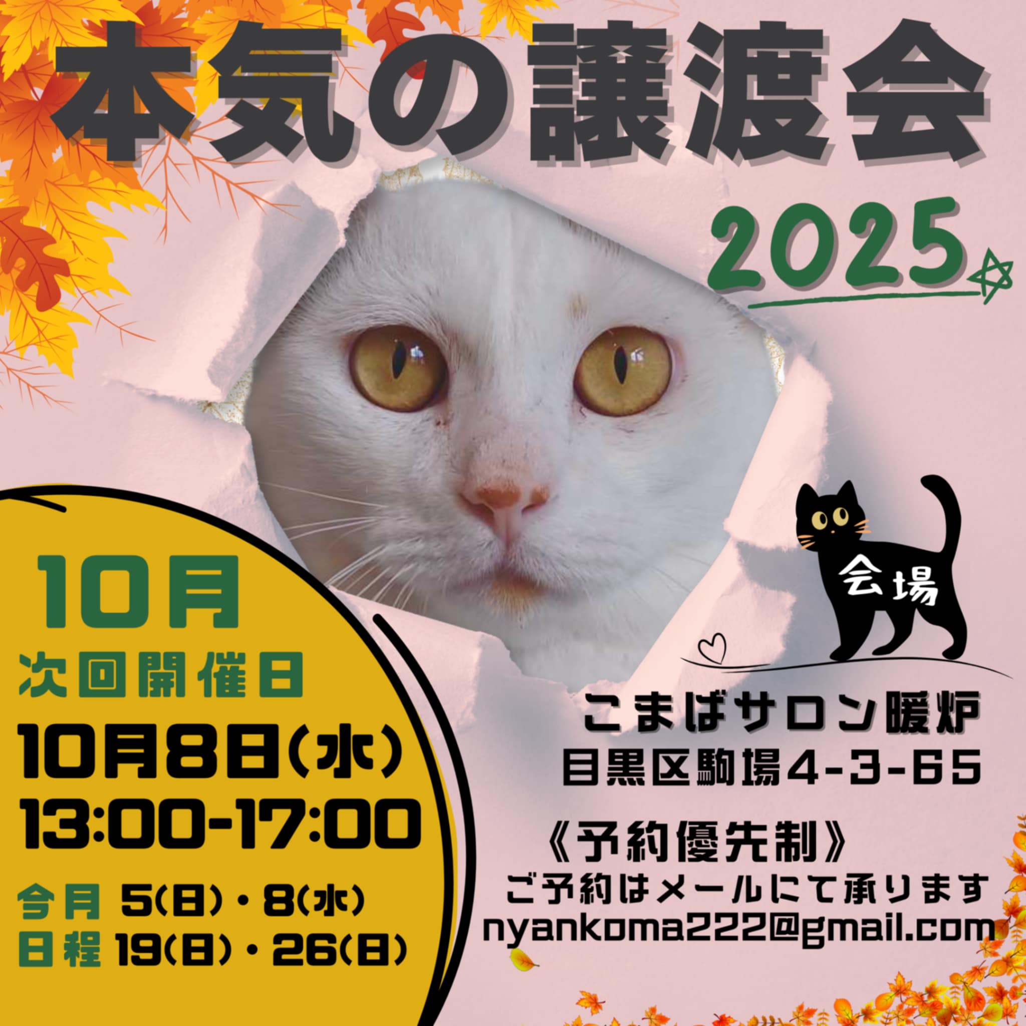 【ネコノメ様 】リクエスト 2点 まとめ商品 まとめ商品 リクエスト商品 2点 リクエスト2点 まとめ ZXまとめ