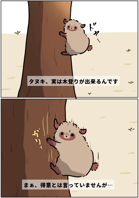 タヌキ兄弟(弟のたれみみ)

木登りに挑んではズリ落ちる様子を目撃されるタヌキ 