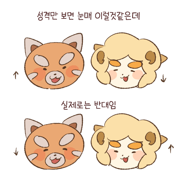 메추 (@sicmechu) on Twitter photo 