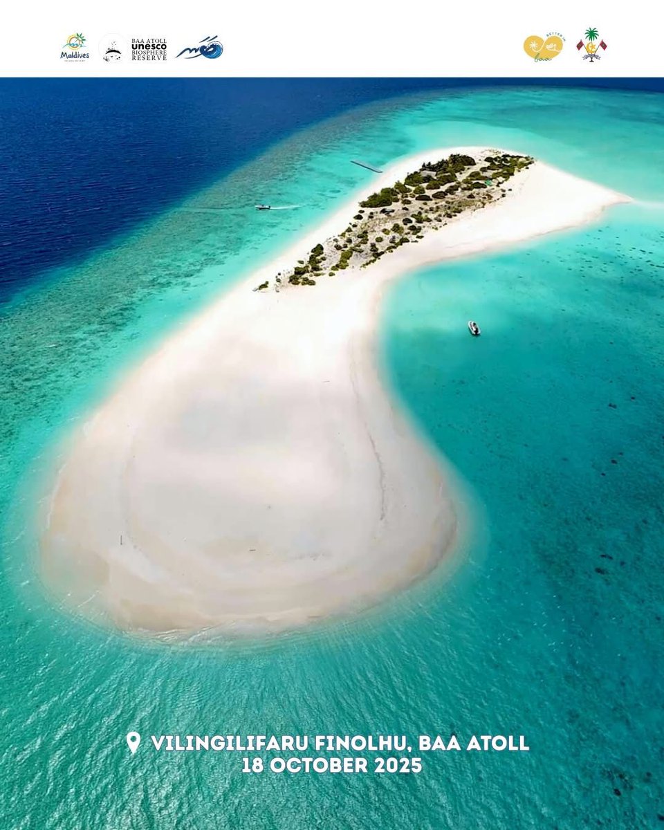 🌊 Join the record! On 18 Oct, Baa Atoll attempts a Guinness World Record for most people snorkeling at once. Free registration 18+ – don’t miss out!

👉 Register now: baa.gov.mv

#BaaWorldRecord #SnorkelMaldives #OceanConservation #BlueOceans