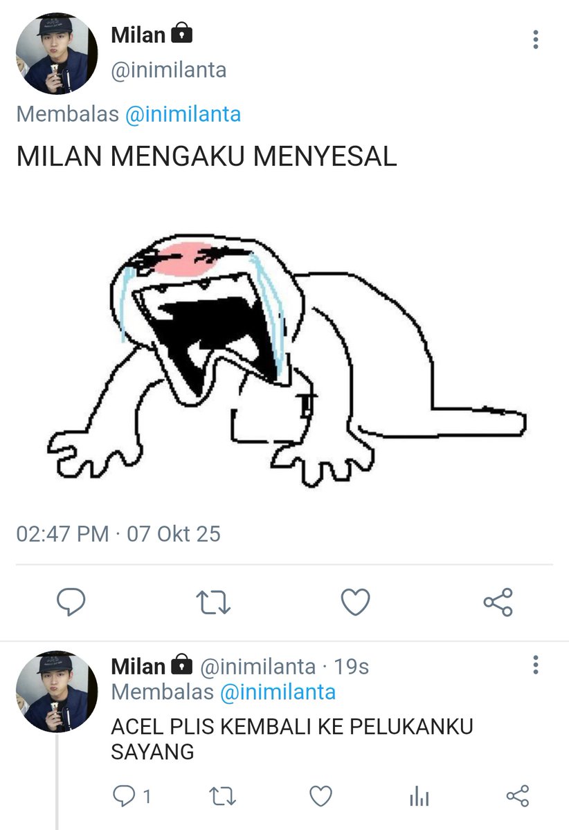 karin. tweet media
