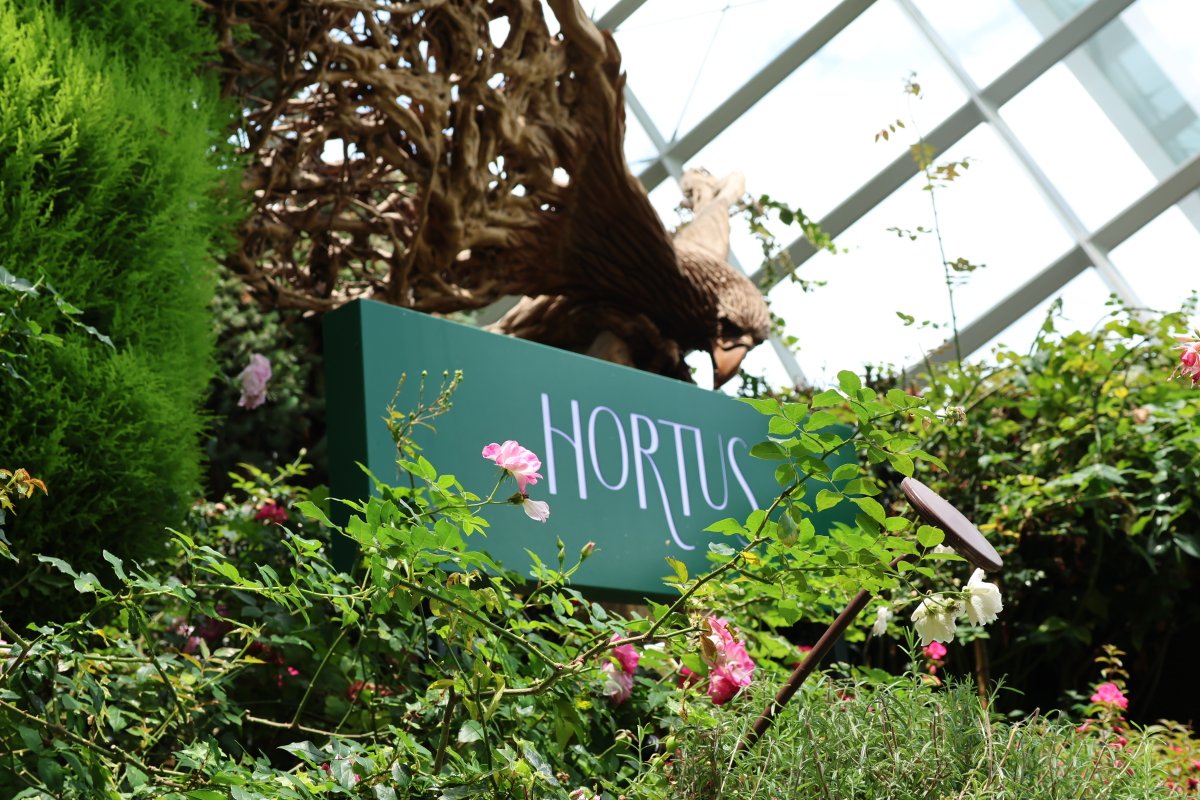 IMC Crypto tweet media