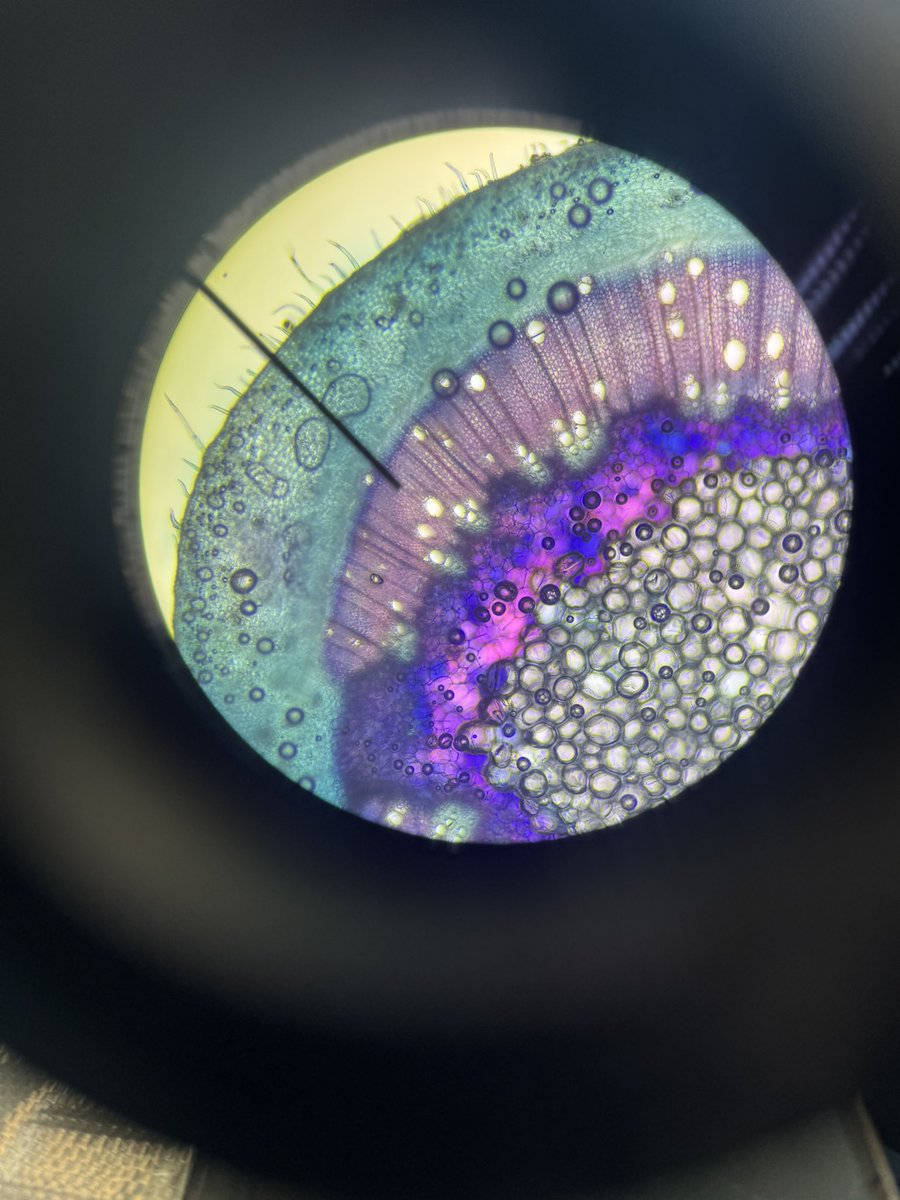 ساره (@vsozc) on Twitter photo 