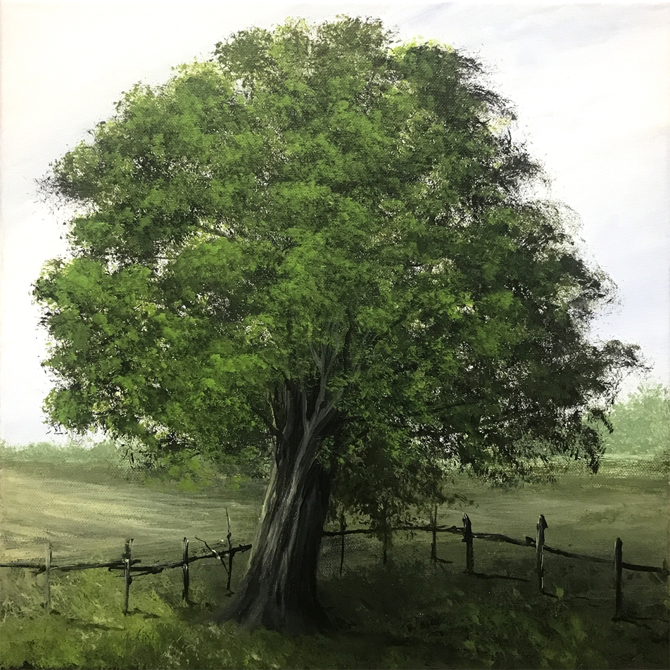 Dzień dobry, 
na michalczejgis.pl trwa aukcja obrazów na płótnie.
Dwanaście prac szuka nowych domów. 
"W cieniu spokoju II" znalazł już potencjalne dwa wnętrza, do którego z nich trafi?
Pięknego dnia, pełnego spokoju :)