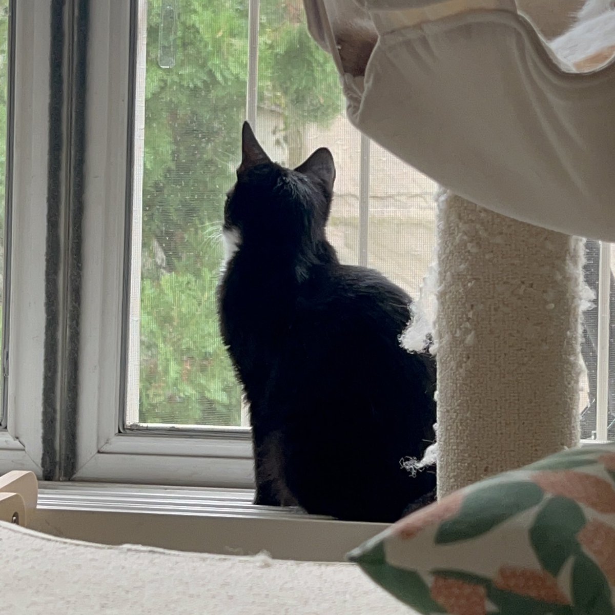 김유정🏳️\u200d🌈 (@Psyam_) / X, image size:1200x1200