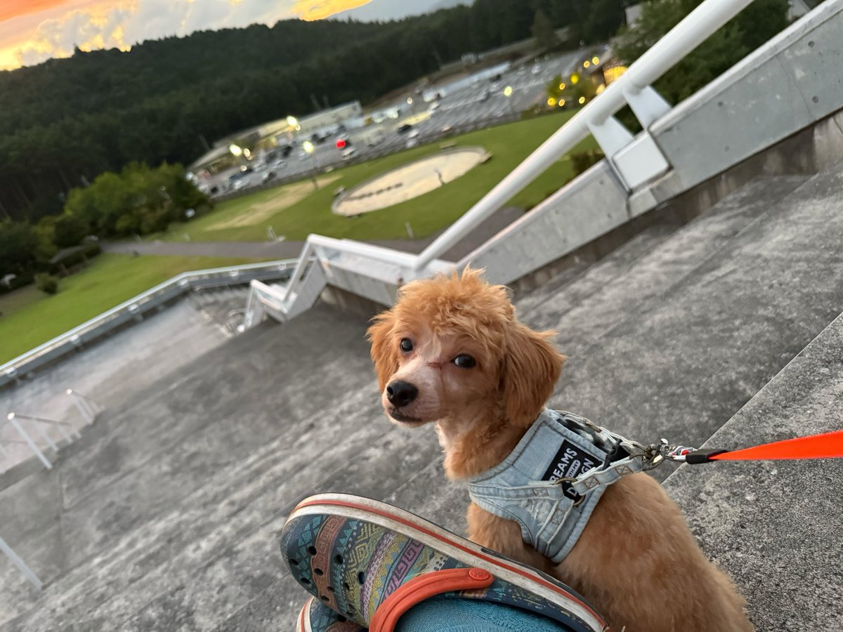 saki｡ (@m5348sek) / Posts / X